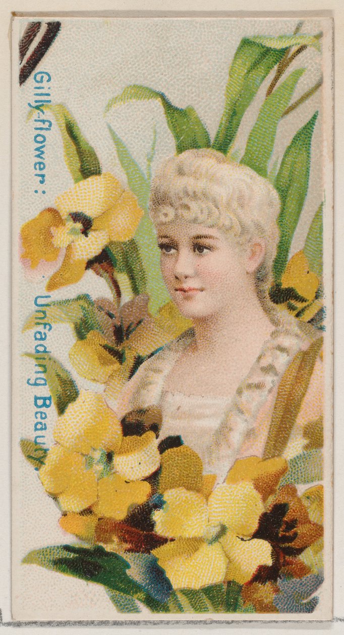 Clavel: Belleza inmarcesible, de la serie Bellezas Florales y Lenguaje de las Flores N7 de Donaldson Brothers
