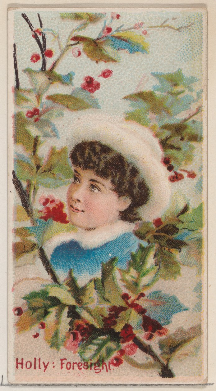 Acebo: Previsión, de la serie Bellezas Florales y Lenguaje de las Flores N75 para Duke, 1892 de Donaldson Brothers