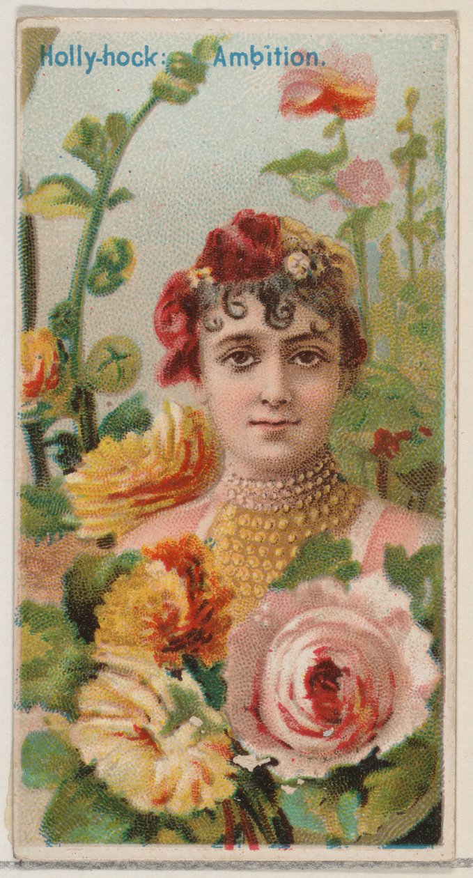 Malvarrosa: Ambición, de la serie Bellezas Florales y Lenguaje de las Flores N75 para Duk... de Donaldson Brothers