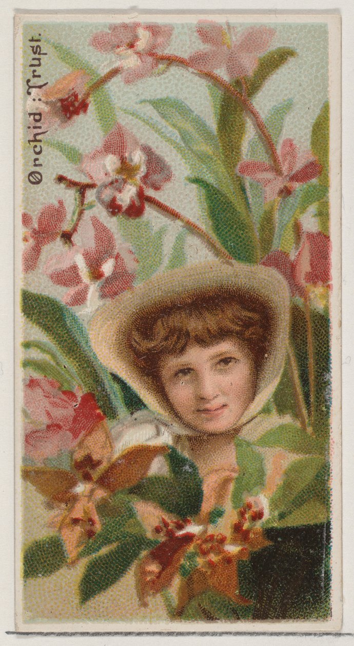 Orquídea: Confianza, de la serie Bellezas Florales y Lenguaje de las Flores N75 para la marca Duke, 1892 de Donaldson Brothers