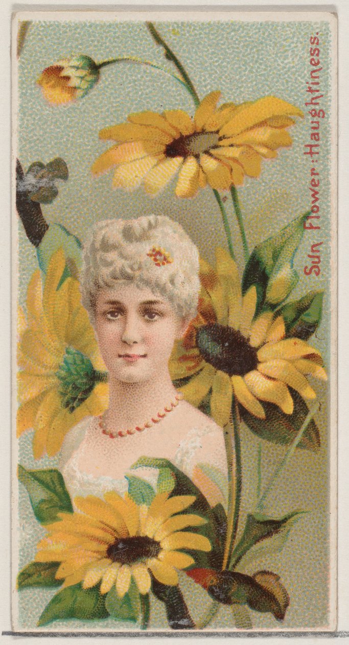 Girasol: Altivez, de la serie Bellezas Florales y Lenguaje de las Flores N75 de Donaldson Brothers