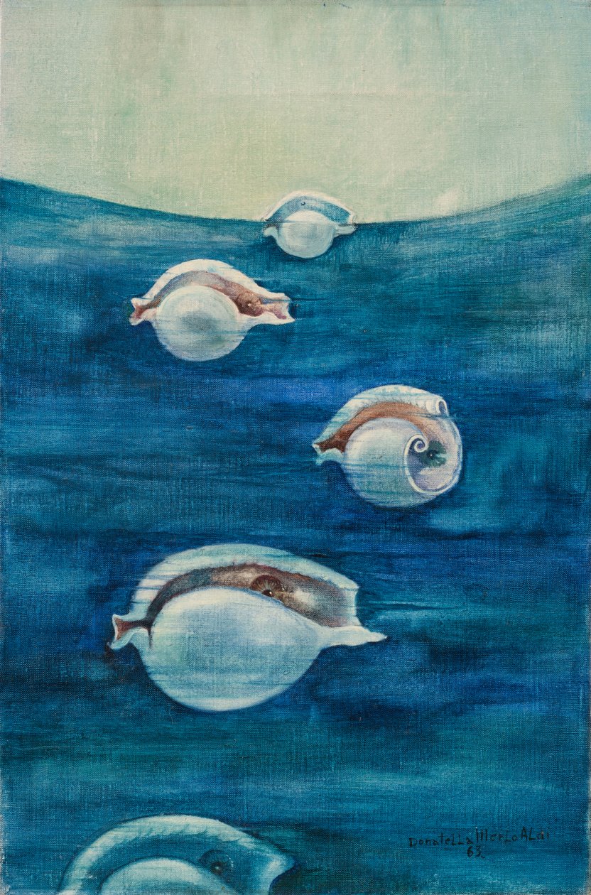 Migración de Donatella Merlo