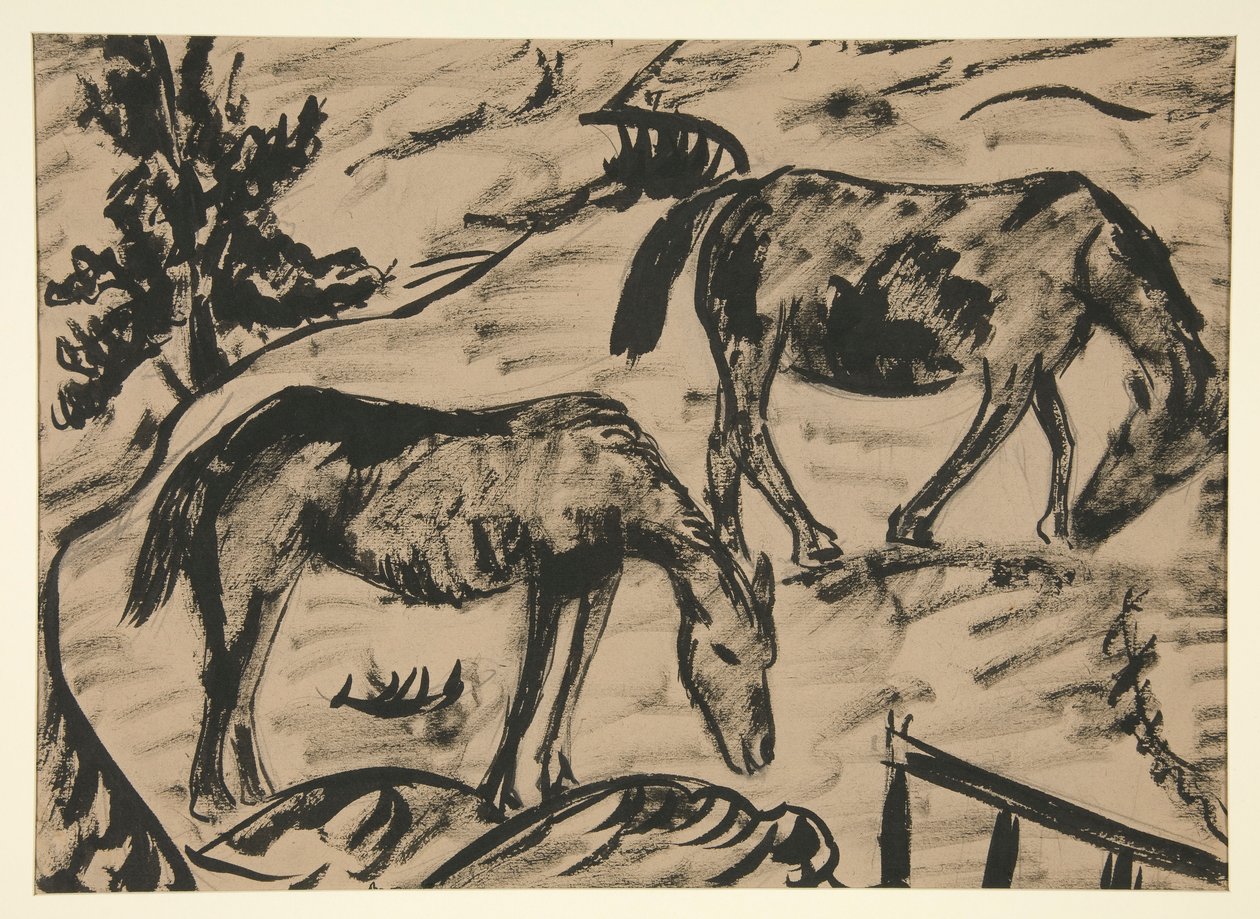 Caballos de Dora Bromberger