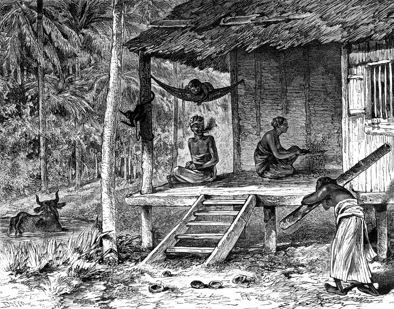 Cabaña malaya, siglo XIX de Dosso