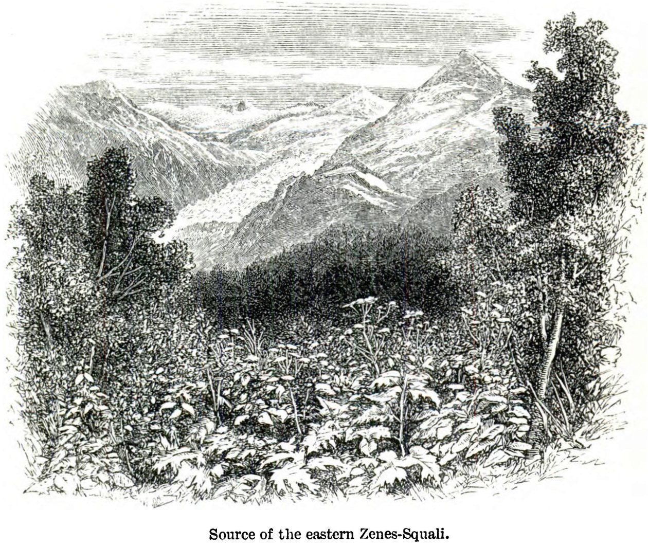Fuente del Zenes-Squali oriental. Viajes en el Cáucaso central y Bashan de Douglas William Freshfield
