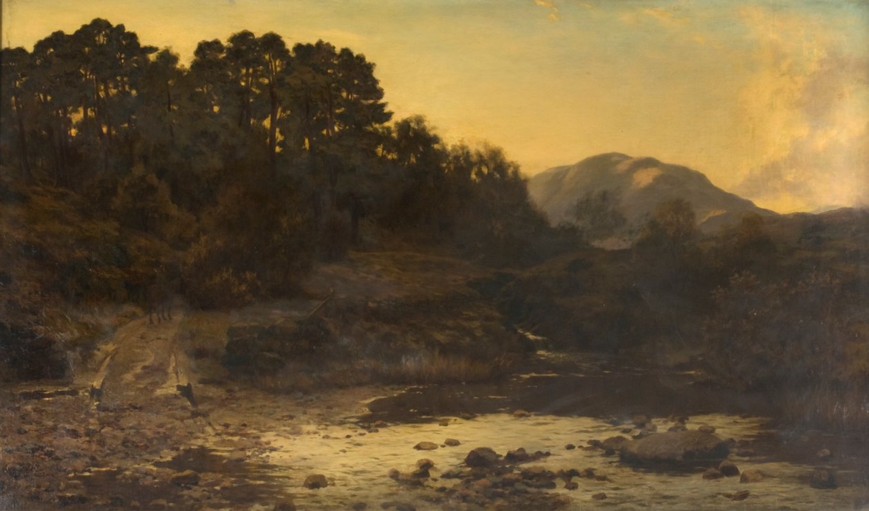 Atardecer - 