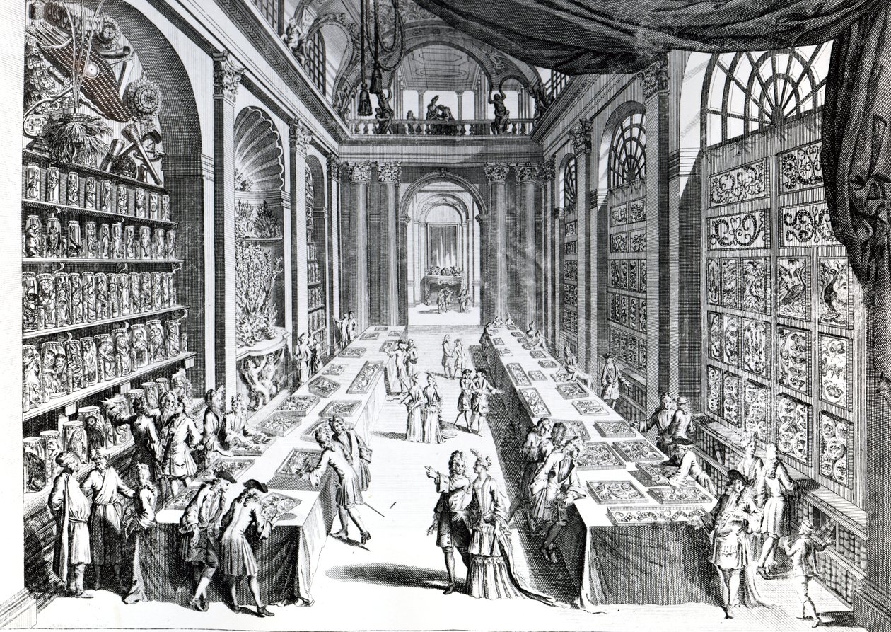 Ilustración de 
