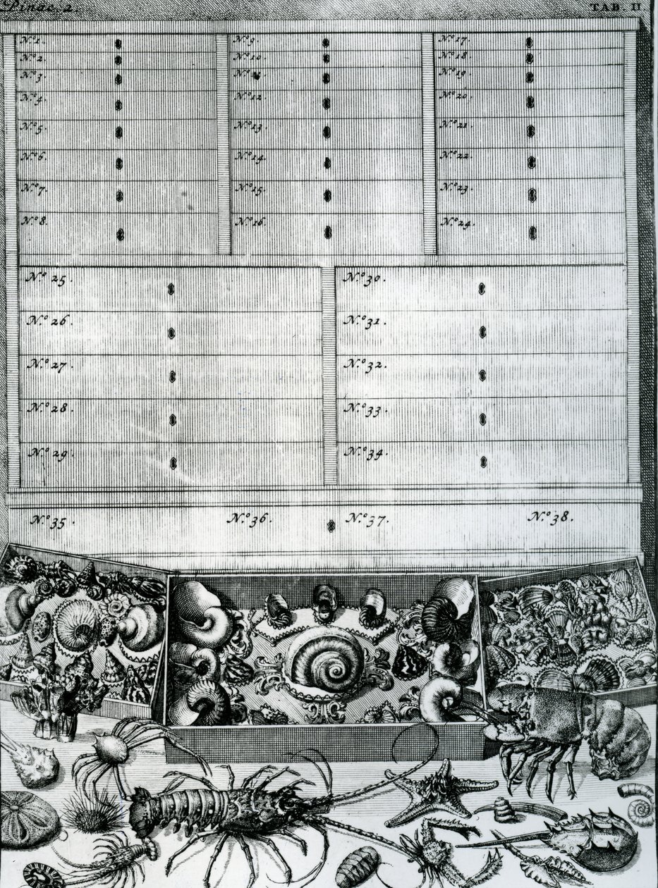 Tabla II de 