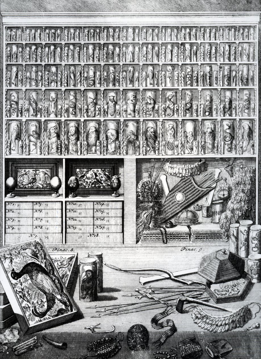 Tabla V de 