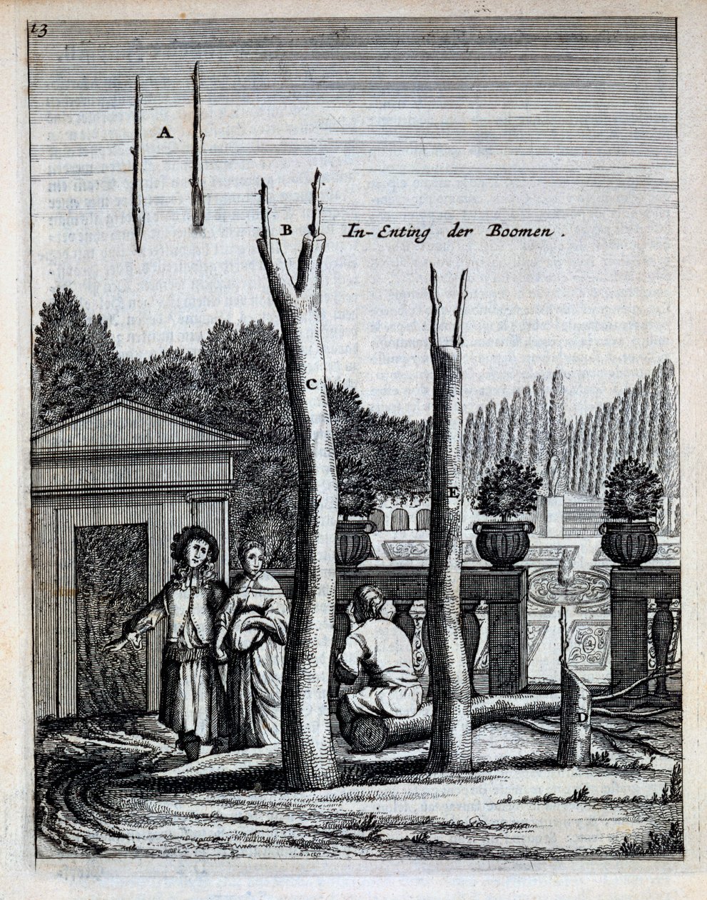 Árboles de lima y naranja, de De Nederlandze Hesperides por Jan Commelin, publicado en 1676 de Dutch School