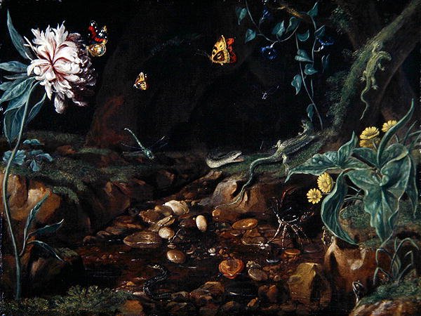 Arroyo en un valle con flores y reptiles de Dutch School