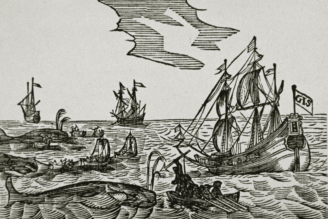 Barcos balleneros, del 