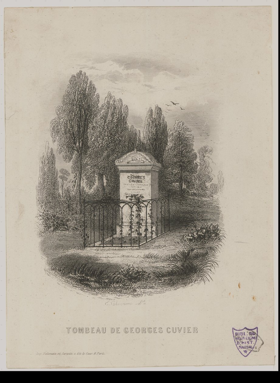 Tumba de Georges Cuvier de E. Chavanne