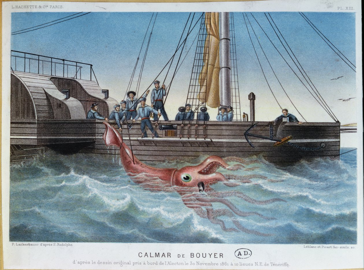 El Calamar Gigante Capturado por el Alecton frente a la Costa de Tenerife, 30 de noviembre de 1861, grabado por Leblanc & Picart de E. Rodolphe