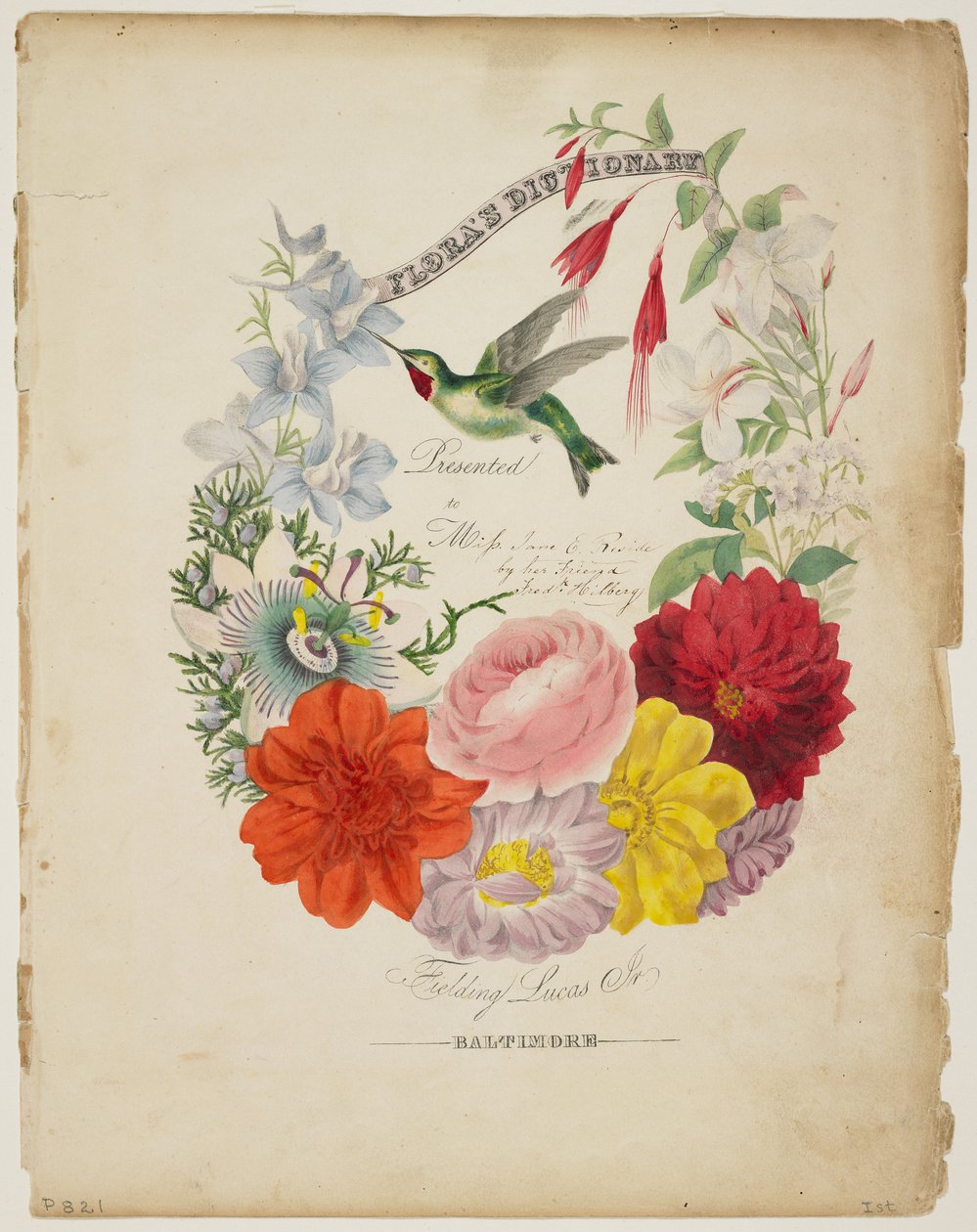 Página de presentación, guirnalda de flores y colibrí, de 