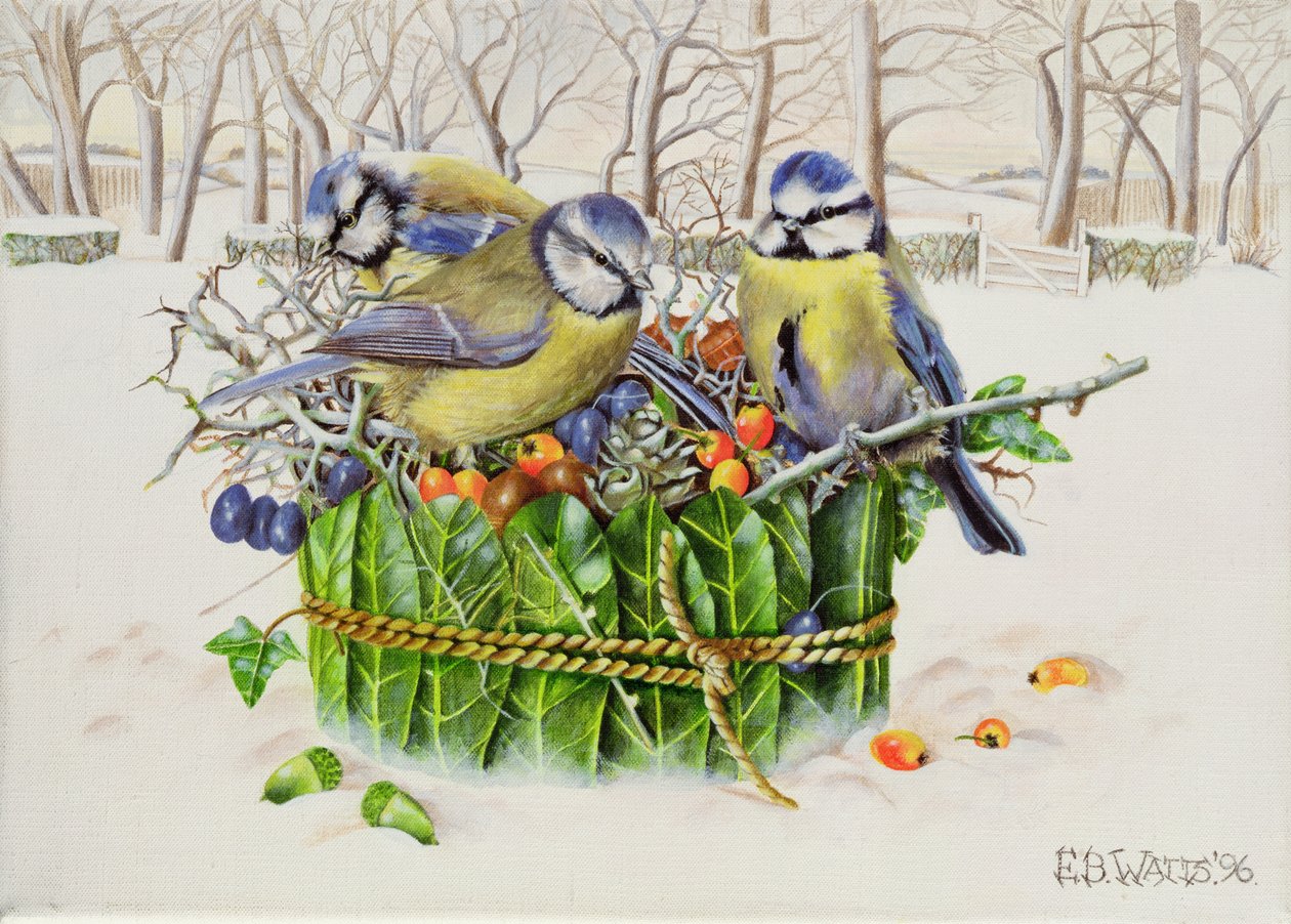 Herrerillos en un nido de hojas, 1996 de E.B. Watts