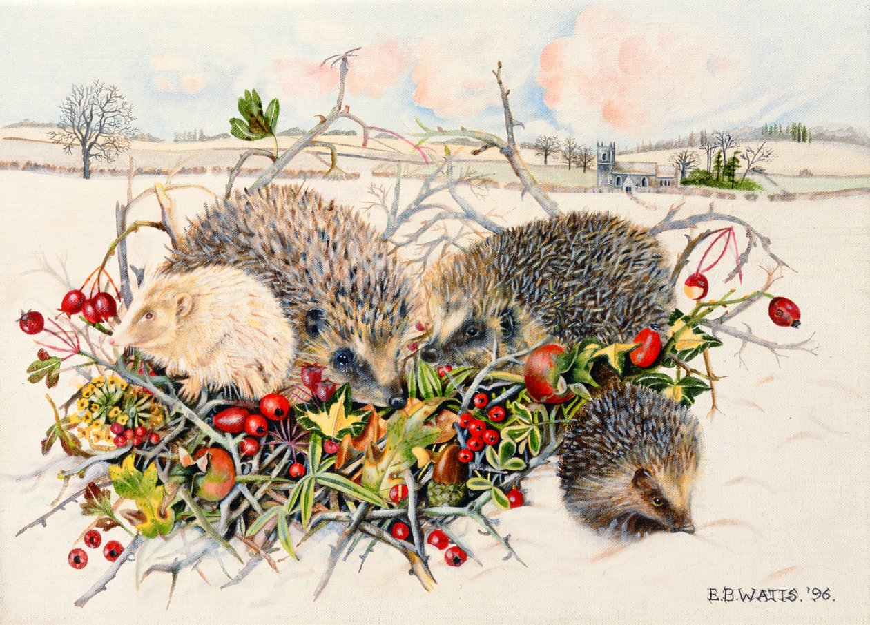 Erizos en una cesta de seto, 1996 de E.B. Watts