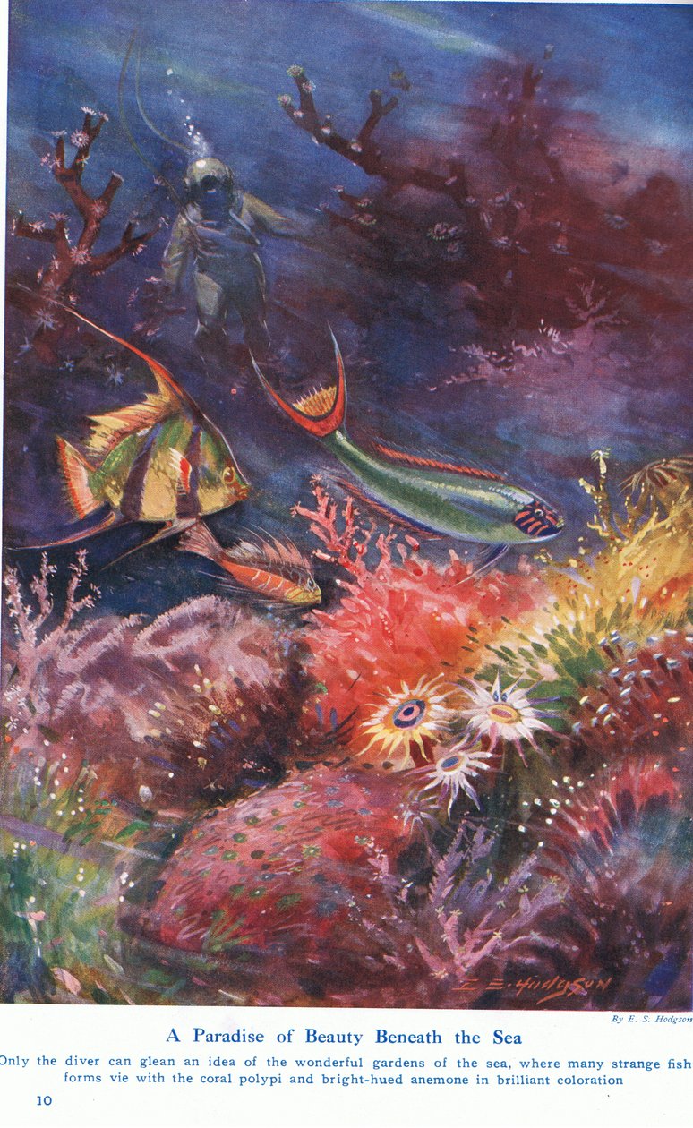 Un paraíso de belleza bajo el mar, ilustración de 
