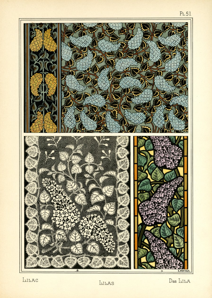 Las Lilas de E. Hervegh