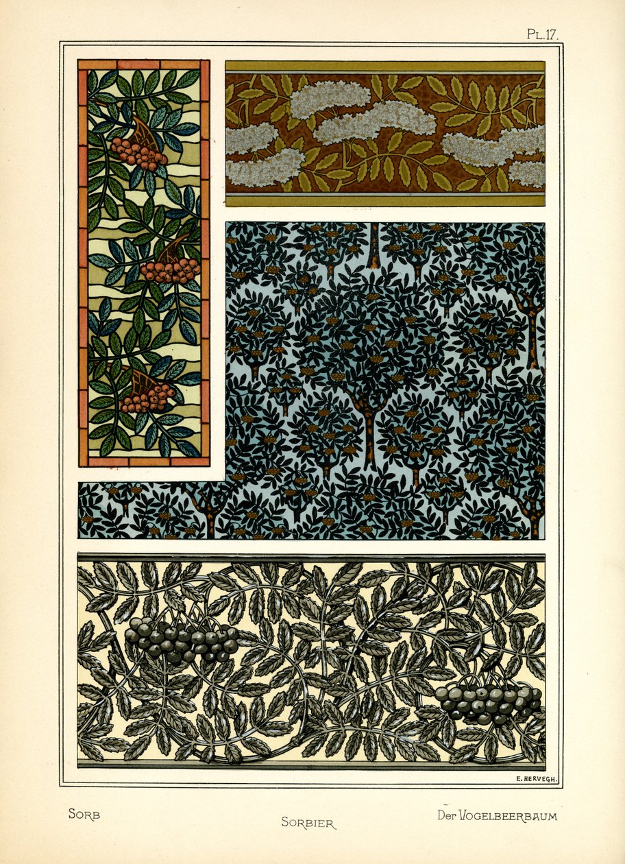 El Serbal de E. Hervegh