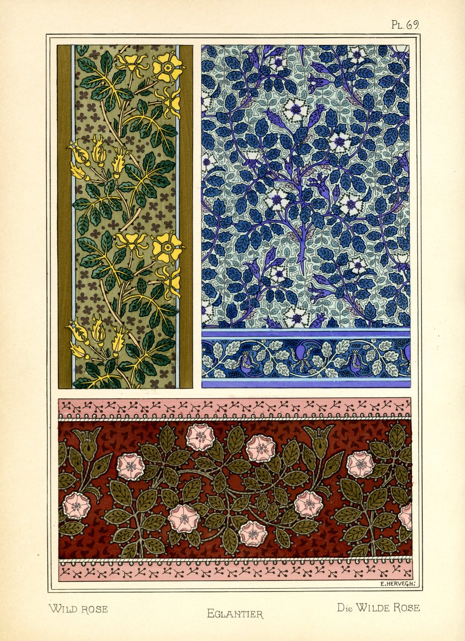 La Rosa Silvestre de E. Hervegh