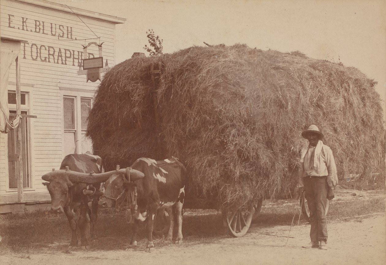 Impresión de albúmina de un hombre con un carro lleno de heno, 1894-1904 de E. K. Blush
