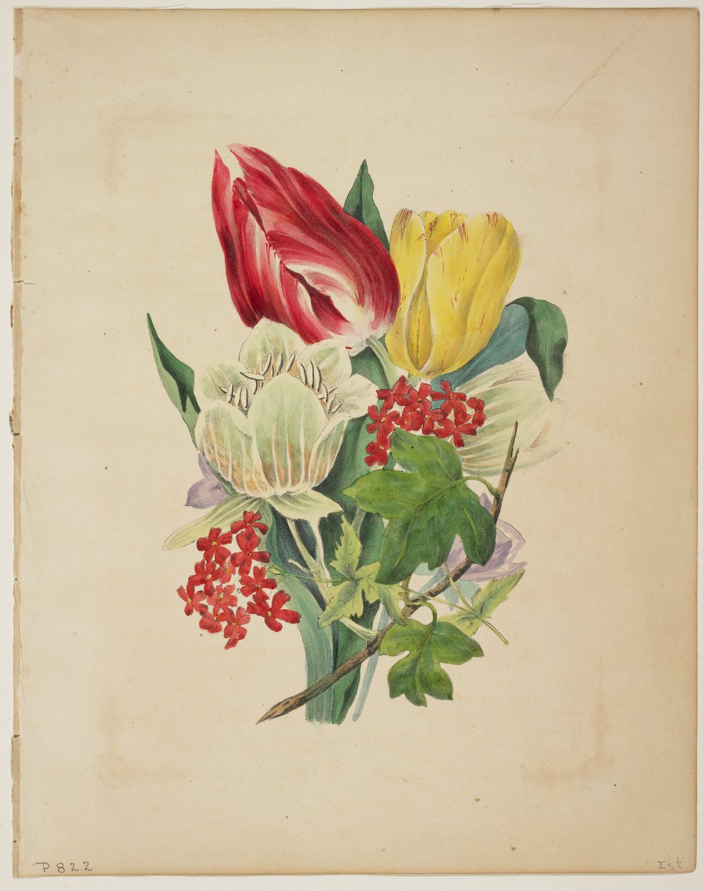 Ramo de tulipanes, de 