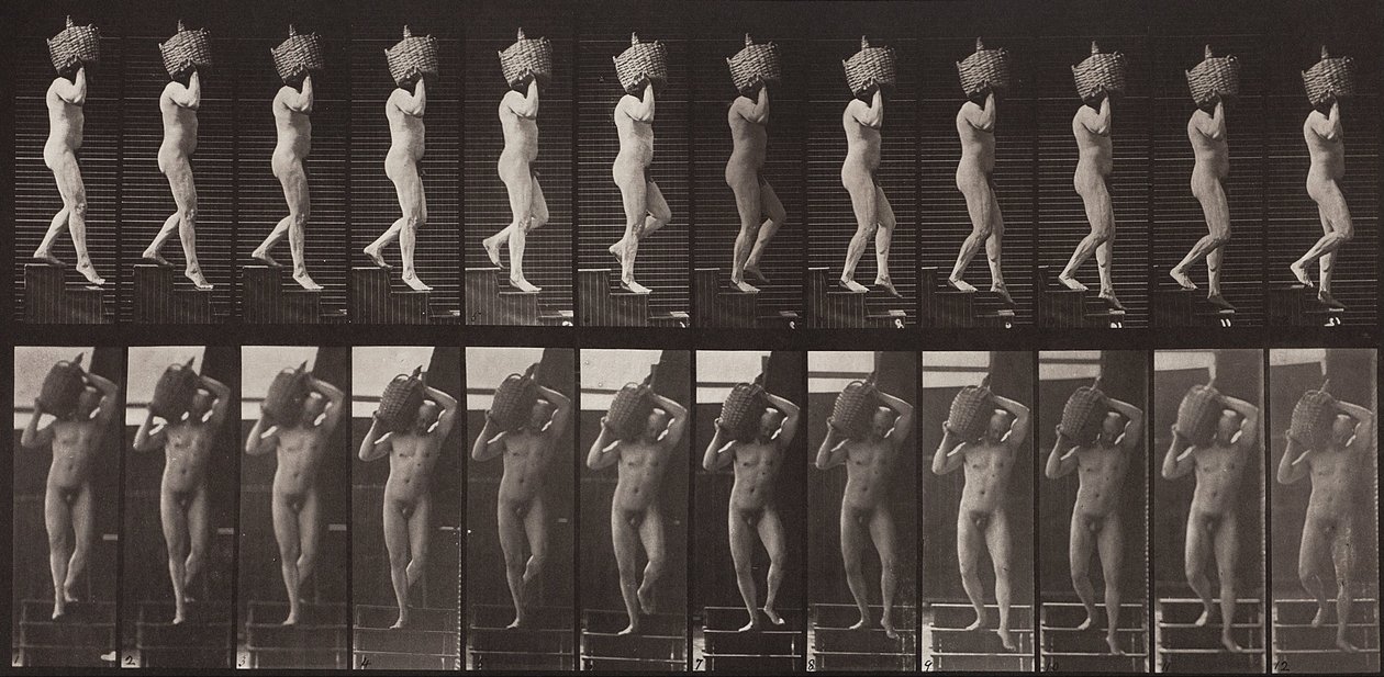 Locomoción animal, placa 136 de Eadweard Muybridge