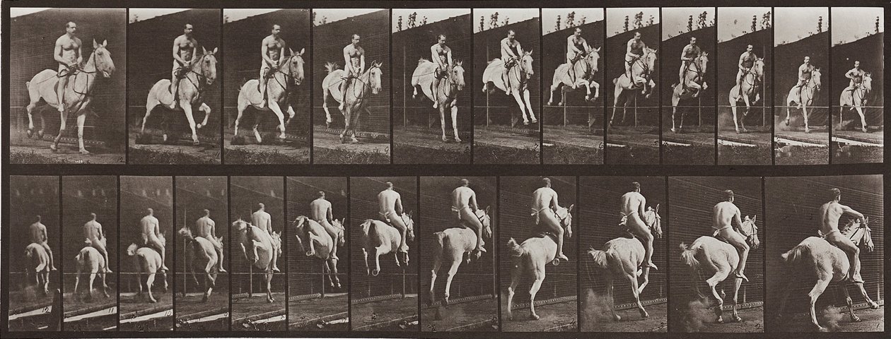 Locomoción animal, lámina 646 de Eadweard Muybridge