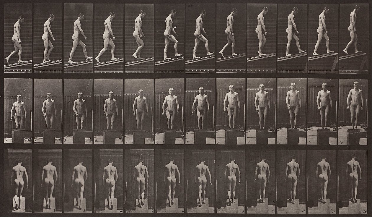 Locomoción animal, Placa 74 de Eadweard Muybridge