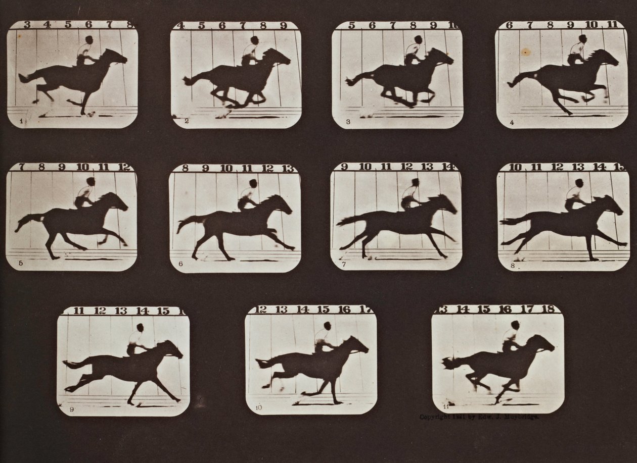 Sallie Gardner corriendo de Las actitudes de los animales en movimiento de Eadweard Muybridge