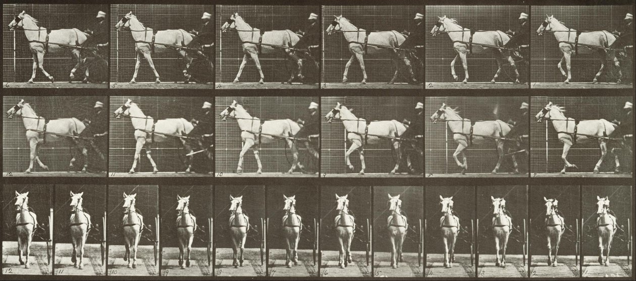 Caminando, sulky, yegua gris claro, Katydid de Eadweard Muybridge
