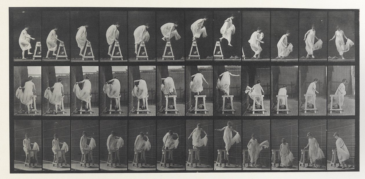 Locomoción animal Placa de Eadweard Muybridge