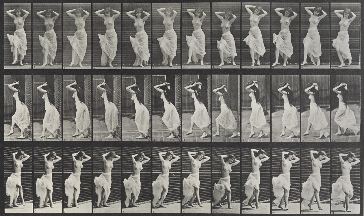 Locomoción animal Placa 190 de Eadweard Muybridge