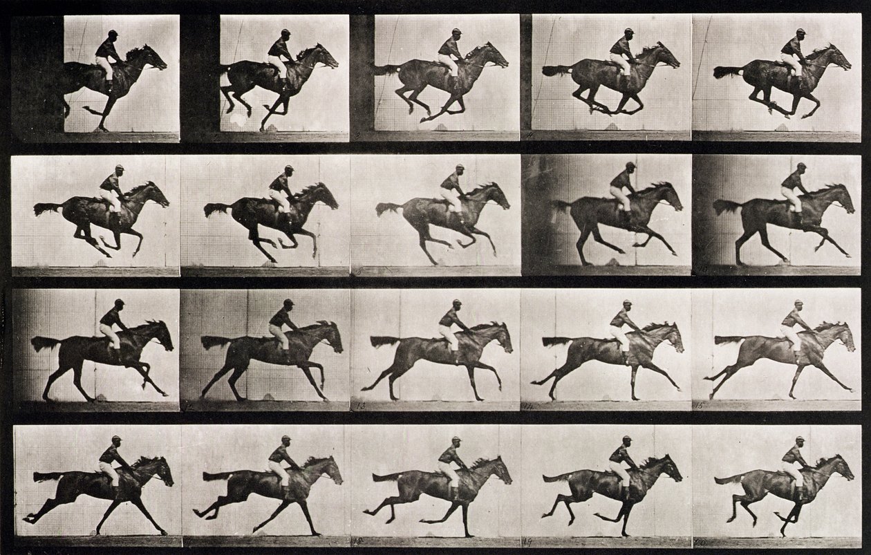 Jinete en un caballo galopante, placa 627 de 