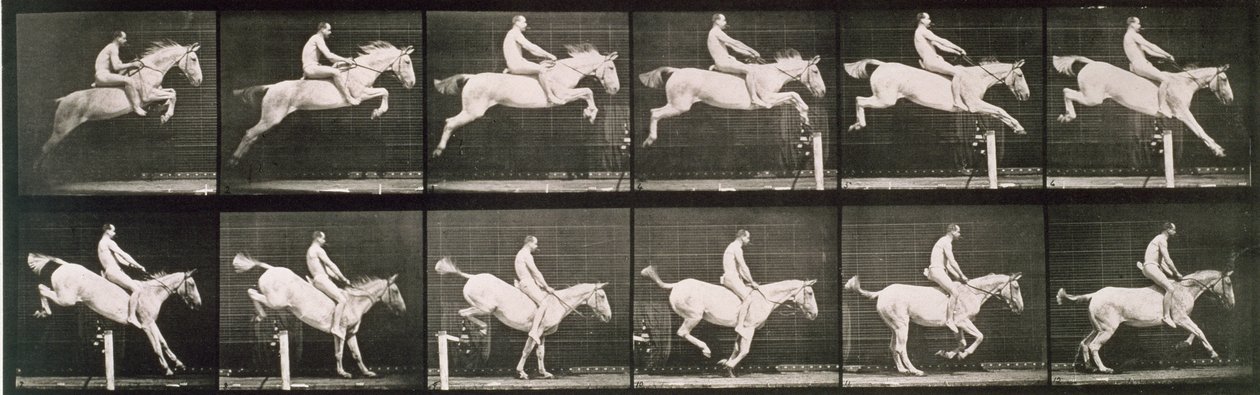 Hombre y caballo saltando una cerca, lámina 643 de 