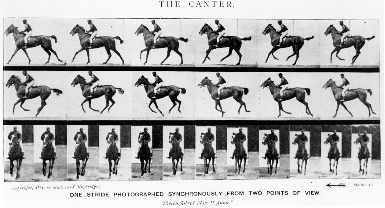 El galope: un paso fotografiado sincrónicamente desde dos puntos de vista, 1887, ilustración de 