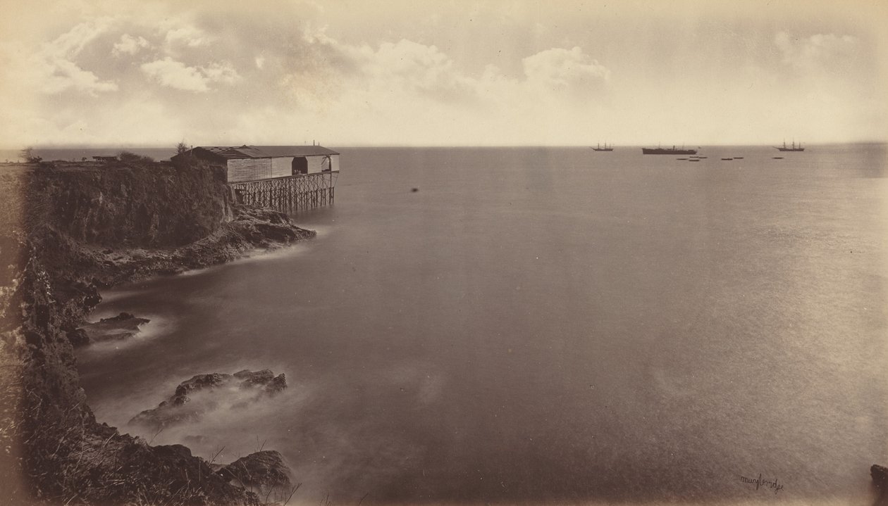 Acajutla, 1877 de Eadweard Muybridge