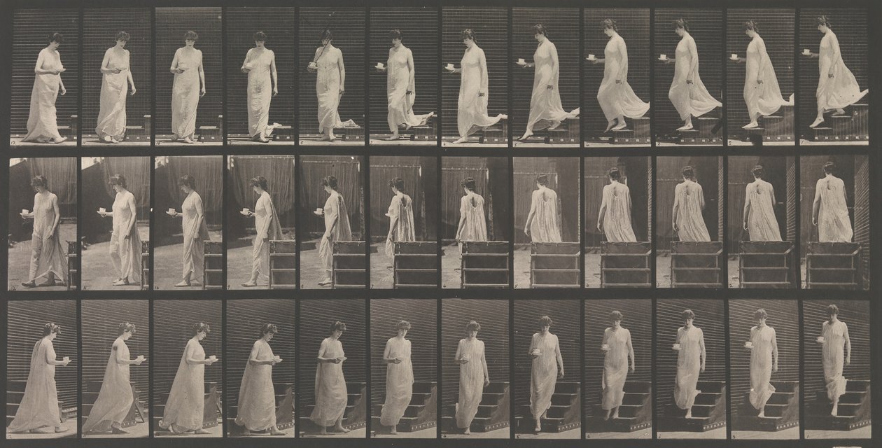 Locomoción animal. Una investigación electrofotográfica... de los movimientos animales. Comienza..., 1880s. de Eadweard Muybridge