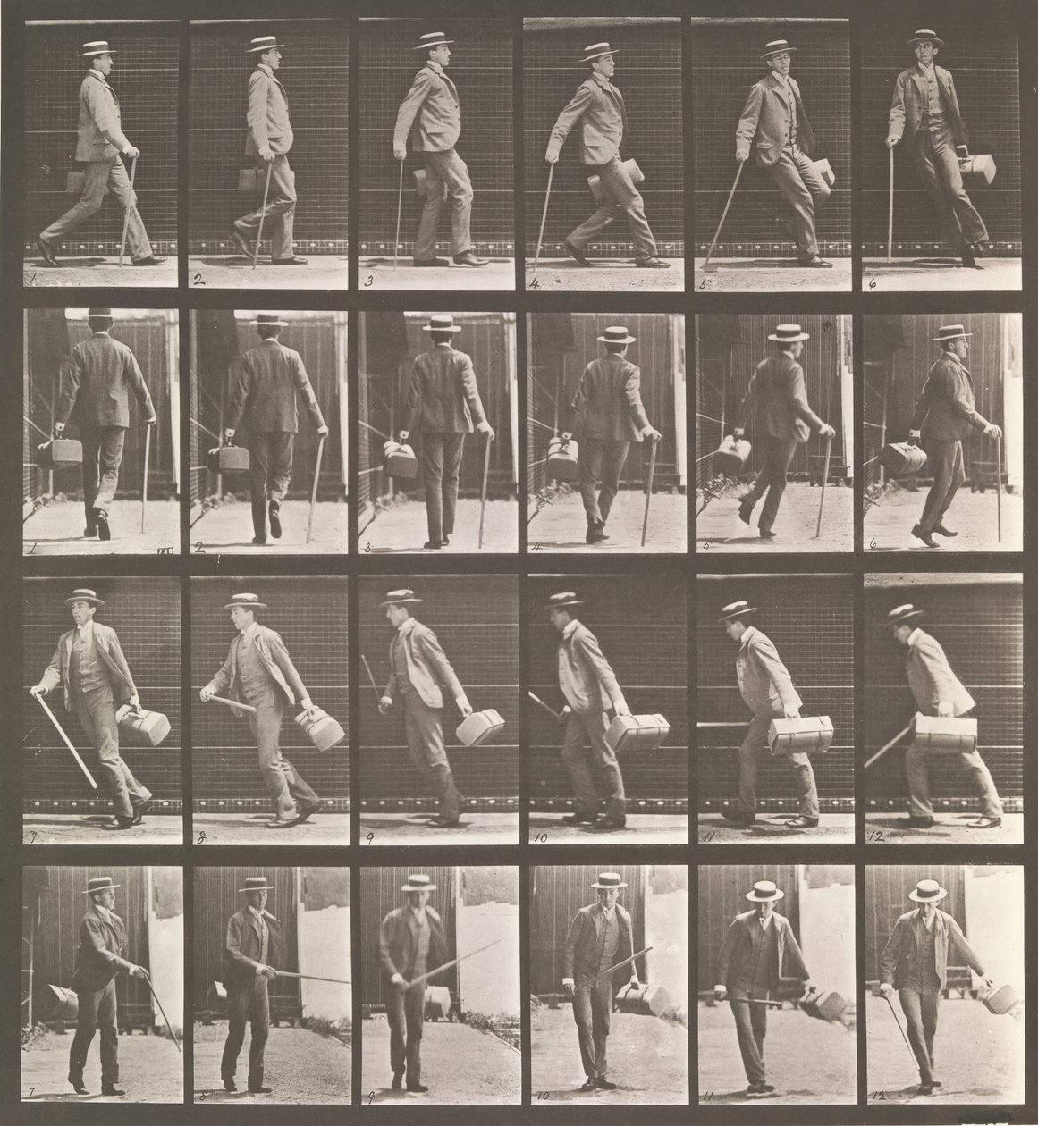 Locomoción animal. Una investigación electro-fotográfica de movimientos animales de Eadweard Muybridge