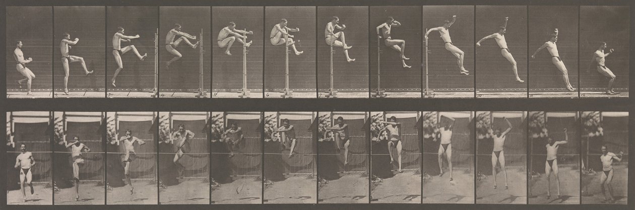 Locomoción Animal. Una Investigación Electro-Fotográfica de Fases Consecutivas de Animales..., 1880s de Eadweard Muybridge