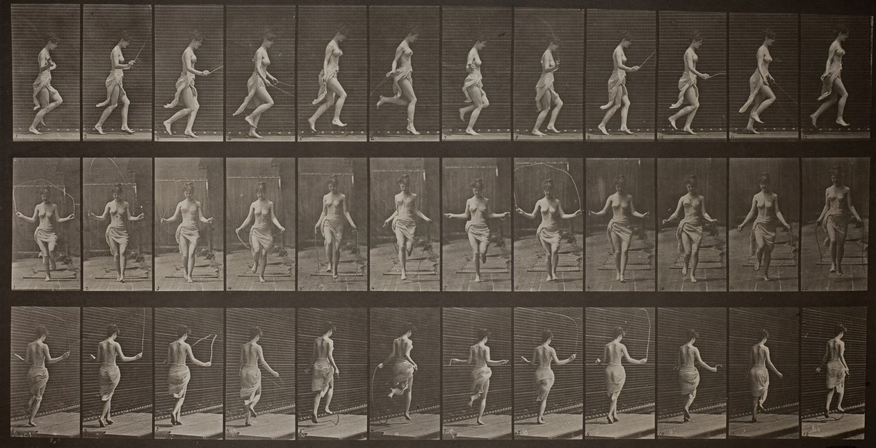 Locomoción animal, Placa 174, 1887 de Eadweard Muybridge