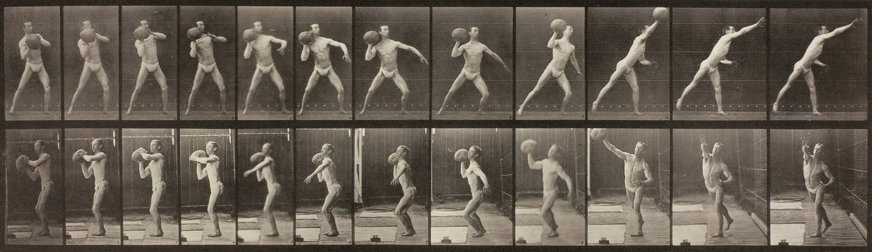 Locomoción animal, Placa 319, 1887 de Eadweard Muybridge