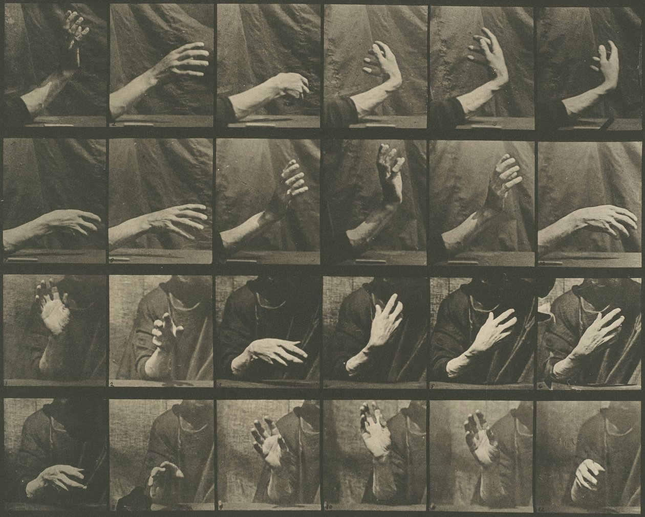 Locomoción animal, Placa 535 de Eadweard Muybridge
