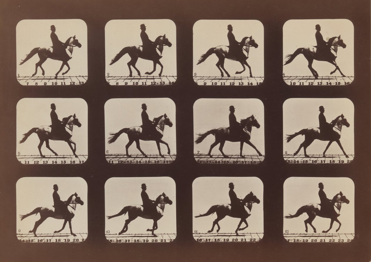 Actitudes de animales en movimiento, 1879, impreso en 1881 de Eadweard Muybridge