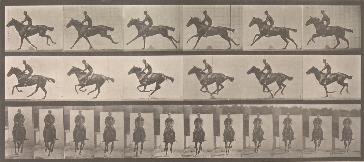 [Caballo y jinete galopando], 1883-86, impreso en 1887 de Eadweard Muybridge