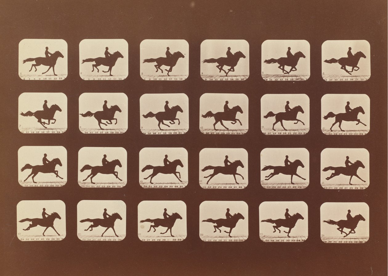 Caballos corriendo. Phyrne L. No. 40, 1879 de Eadweard Muybridge