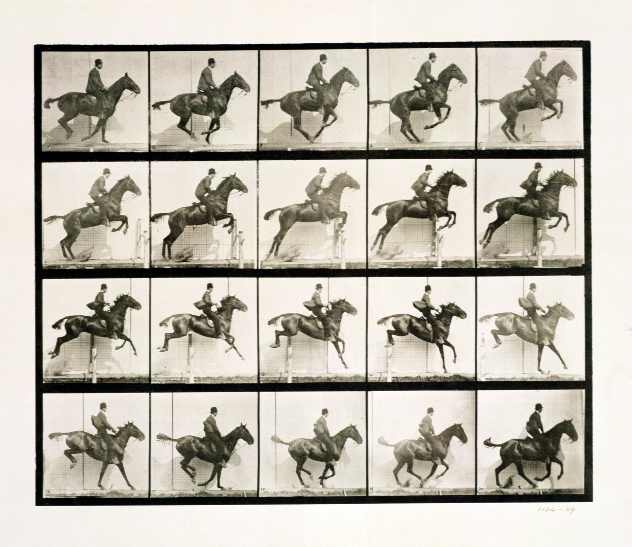 Hombre y caballo saltando una cerca, 1887 de Eadweard Muybridge