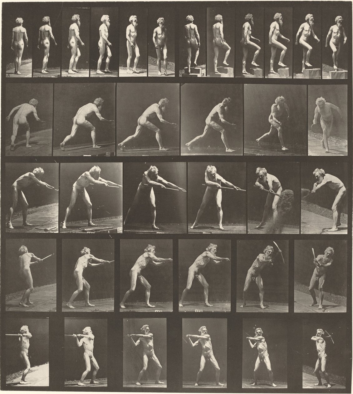 Número de placa 521. A: Caminando. B: Subiendo escalón. C. Lanzando disco. D: Usando pala..., 1887 de Eadweard Muybridge