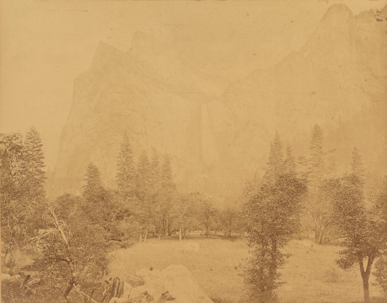 Pohona. Valle del Yosemite. de Eadweard J. Muybridge